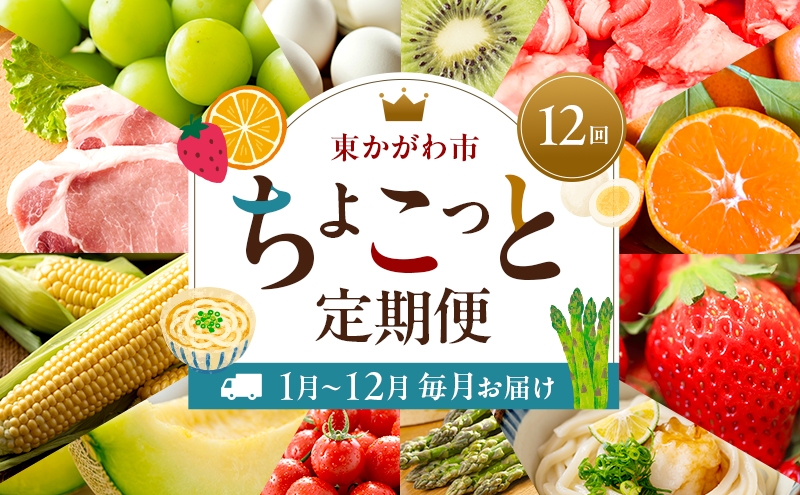 
                  [№4631-2812]東かがわ市ちょこっと定期便(12回) みかん いちご 讃岐うどん アスパラ トマト メロン コーン 豚肉 シャインマスカット 卵 キウイ 黒毛和牛 香川
                