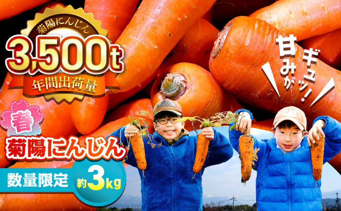 
                  菊陽町の春にんじん(菊陽にんじん) 約3kg / 人参 にんじん ニンジン 菊陽にんじん 春にんじん 3キロ 野菜 キャロット サラダ 甘い 熊本県 菊陽町 5000円以上 5千円以上 5,000円以上【有限会社さんふれあ】 [BHAK003]
                