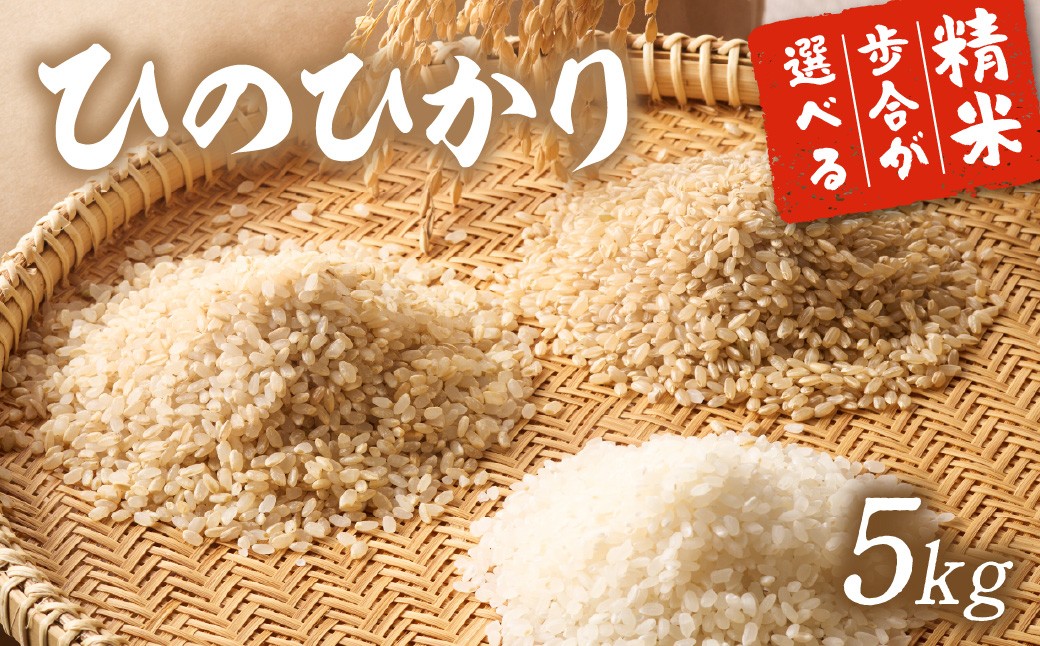 
                  令和8年産 新米予約受付！自然栽培米ひのひかり5kg〈栽培期間中農薬・肥料不使用【ほのわ】_HA1609
                