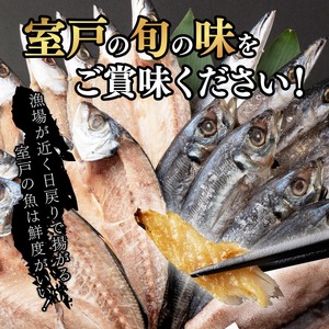 【定期便 偶数月6回】 干物 黒潮セット アジ 5枚 鯵 アジ あじ カマス 5枚 かます トロカマス スルメイカ 1枚 冷凍 人気 干物 詰め合わせ 大容量 海鮮 魚介 白身魚 室戸海洋深層水 高知