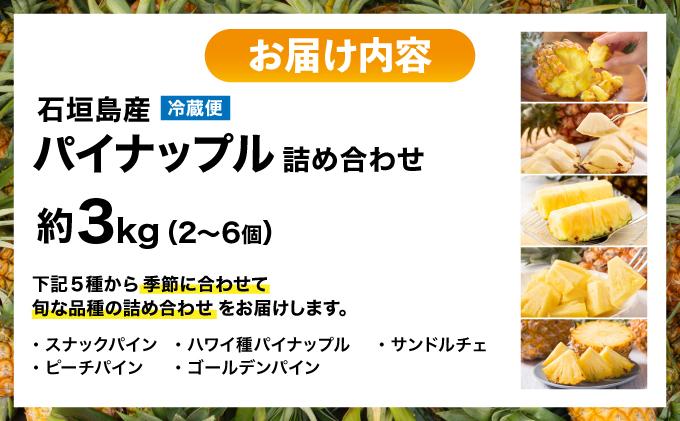 石垣島産パイナップル 2～6個 約3kg 《2026年4月下旬発送》 | ふるさと納税 パイナップル 産地直送 フルーツ 果物 沖縄県石垣市 石垣 沖縄 石垣市 石垣島 KP-14