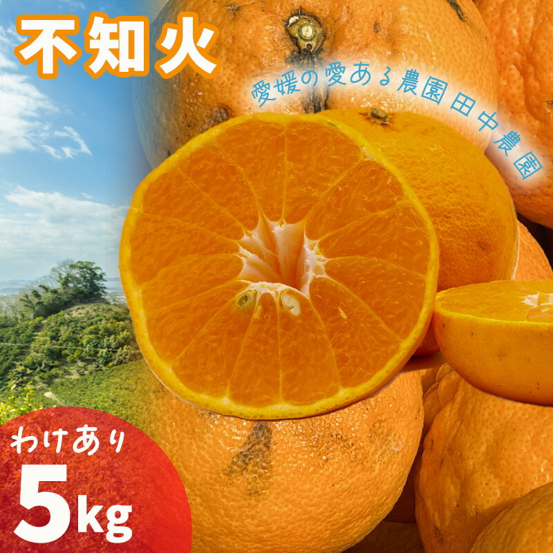 【ふるさと納税】 不知火 しらぬい 約5kg 訳あり 【2月下旬から順次発送】でこぽんと同品種 柑橘類 先行予約 フルーツ 柑橘類 先行予約 果物 フルーツ みかん シラヌイ 人気 おすすめ 愛媛 松山 田中農園