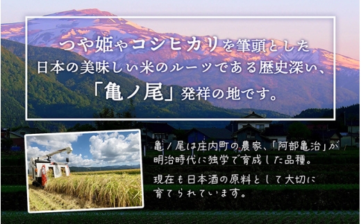 【令和8年産】吉祥ファーム つや姫 2kg 2kg×1袋 優秀金賞受賞農家 庄内町産 ブランド米 米 国産 単一原料米 山形 庄内平野 山形県庄内