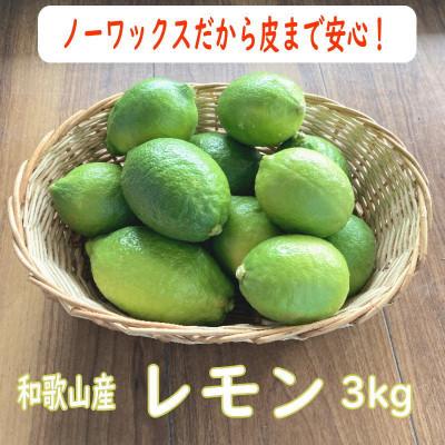 ふるさと納税 印南町 和歌山産レモン/グリーンレモン 約3kg 【国産レモン】