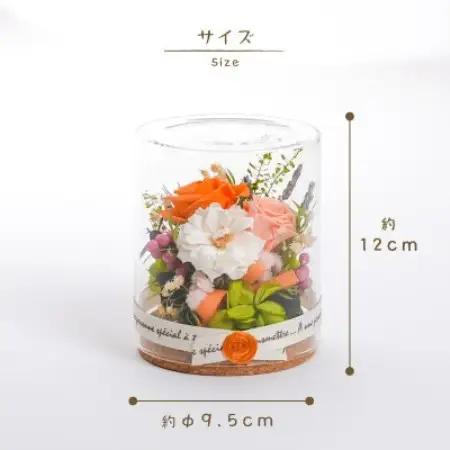 プリザーブドフラワー ガラスケース入りアレンジ 【イネス モナ(オレンジ)】【1748558】