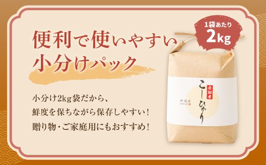 【新米受付・令和8年産米】【定期便：3ヶ月お届け】】新潟県村上市　岩船産コシヒカリ6kg（2kg×３袋）×3ヶ月　合計18kg　1103002N
