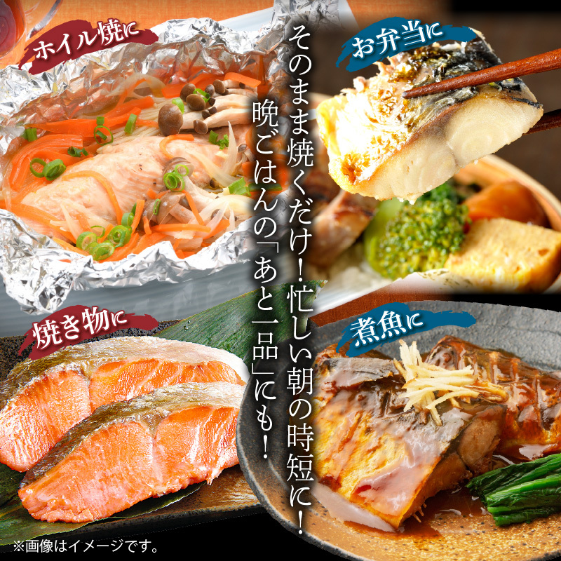 G60-T53_【定期便　全3回】人気の2種塩さば＆紅鮭切り身セット計3kg (1kg × 3回)_イメージ4
