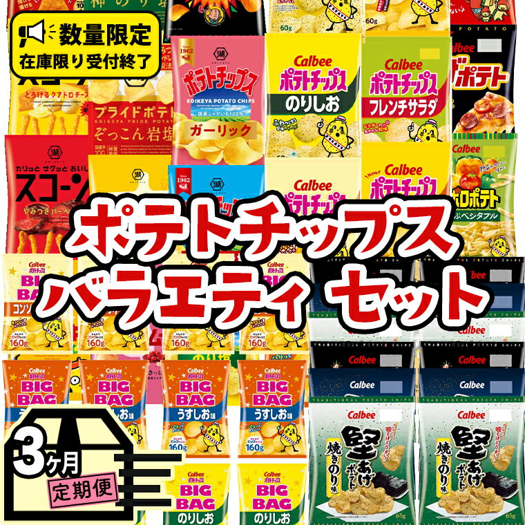 【ふるさと納税】 【 人気スナック菓子 3ヶ月 定期便 】 カルビー 湖池屋 人気 24種 詰め合わせ バラエティ セット カルビー 湖池屋 ポテチ スナック菓子 ( お楽しみ 24袋 ) BIGBAG 堅あげポテト ( 3種 各4袋 ) のりしお うすしお ブラックペッパー 定期便 頒布会