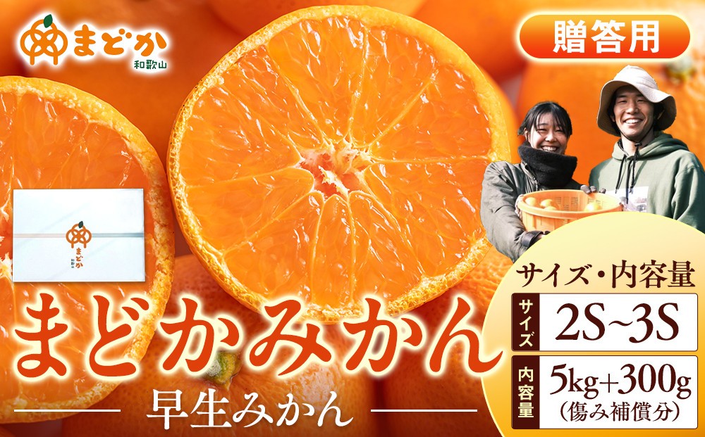 
                  ［先行予約］［贈答用］秋採れみかん（早生みかん）2S〜3Sサイズ混合 5kg＋300g（傷み補償分）［2025年11月上旬より発送］
                