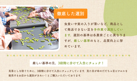 【令和６年産先行予約】だだちゃ豆(白山)　1.5kg（500g×3袋）小池喜左衛門ファーム　枝豆