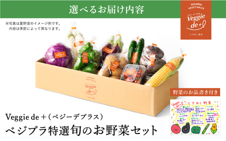 旬の新鮮なお野菜を産地直送！ベジプラ特選 旬の野菜セット【定期便：4回　春(5月)・夏(7月)・秋(11月)・冬(1月) 】 / 野菜 詰め合わせ セット 野菜セット 新鮮 ギフト やさい 苦みが少な