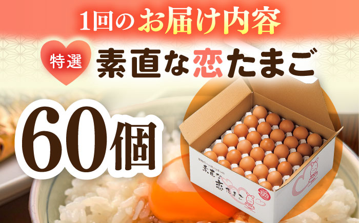 【全12回定期便】特選素直な恋たまご60個入り[JAP005] たまご 60個 鶏卵 玉子 大容量 国産 卵かけご飯 たまごかけご飯 すき焼き 目玉焼き 156000 156000円