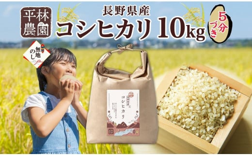 ＜新米予約＞無地熨斗 令和6年産 コシヒカリ 5分づき米 10kg×1袋 長野県産 米 お米 ごはん ライス 分つき米 産直 信州 人気 ギフト 平林農園 熨斗 のし 名入れ不可 送料無料 長野県 大町市