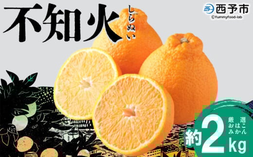 ＜おはこやがつくる おはこデコ（不知火）約2kg（L～3Lサイズ）＞ 果物 くだもの フルーツ 柑橘 蜜柑 ミカン しらぬい シラヌイ みかん 特産品 西宇和 愛媛県 西予市【常温】