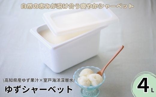 
            アイス アイスクリーム シャーベット ゆず ユズ 柚子 スイーツ 冷凍 デザート 4L 大容量 濃厚 さっぱり 爽やか ご当地 高知 産 ゆず果汁 室戸 海洋深層水 使用 天然 素材 手作り 業務用 家庭用 人気 ギフト プレゼント ご褒美 贈答用 お取り寄せ 夏 ひんやり 柑橘 フルーツ アイス スイーツ 人気 高知県 室戸市
          