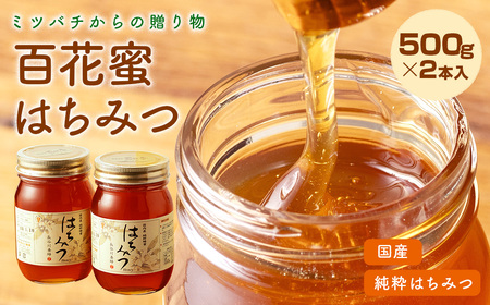 はちみつ 百花蜜 500g 2本 長谷川養蜂 | はちみつはちみつはちみつはちみつ