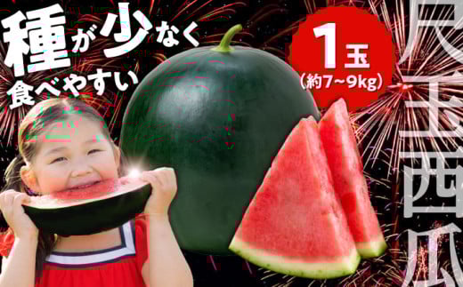 【先行予約・26年6月以降発送】尺玉西瓜(すいか) 1玉（約7kg〜9kg）スイカ すいか  西瓜 尺玉スイカ 黒スイカ 果物 日田市 / JAおおいた  【配送不可地域：北海道・沖縄・離島】[AREW001]