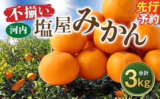 ＜ R8年熊本地震復興支援 ＞＜2027年1月発送予定＞【不揃い】選べる 河内 塩屋みかん 3kg 青島みかん 熊本 国産 みかん 蜜柑 ミカン 果物 くだもの フルーツ