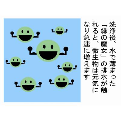ふるさと納税 龍ケ崎市 【毎月定期便】ふるさと納税専門誌掲載品　環境配慮型洗剤緑の魔女ランドリー5L×3セット 全12回 |  | 02