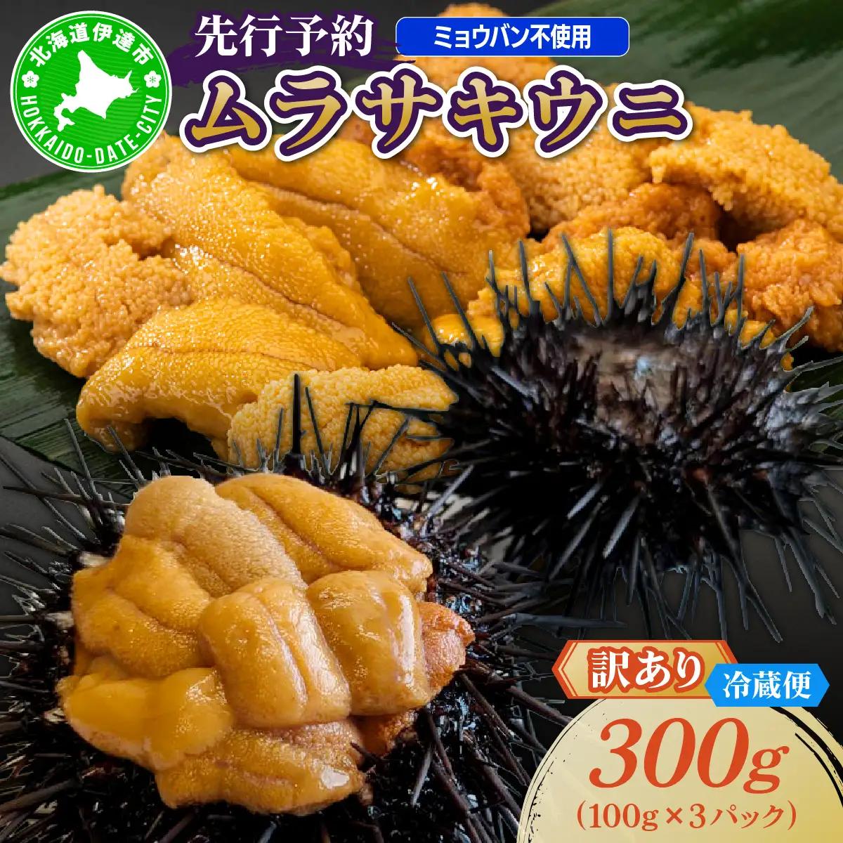 ＜先行予約＞ 北海道産 ムラサキウニ（訳あり）300g【ogm-041】