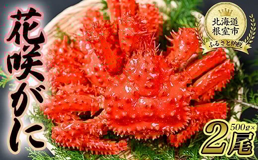 B-80004【年内配送可】 【北海道根室産】花咲がに500g前後×2尾セット