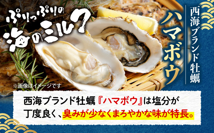 牡蠣 ハマボウ 4kg
