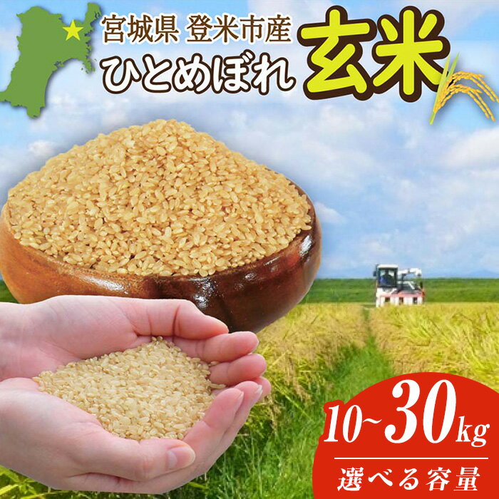【ふるさと納税】＜先行予約！2025年9月末より順次発送予定＞≪令和7年産・新米≫ 宮城県登米市産 ひとめぼれ 玄米 10kg～30kg 選べる容量 お米 おこめ 米 白米 コメ ご飯 ごはん おにぎり お弁当 ブランド米【有限会社伊豆沼農産】tm406・tm408