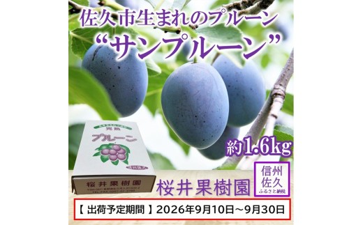 プルーン約1.6kg（400g×4パック）（家庭用）【先行予約・2026年９月出荷】 （北海島・沖縄・離島は配送不可）サンプルーン 信州 果物 旬彩 期間限定