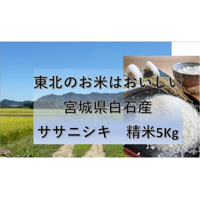 ふるさと納税 白石市 令和7年産　宮城県白石産　ササニシキ　精米　5Kg