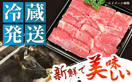 【チルド（冷蔵）発送！】 「飛騨牛」 A5等級 バラ 500g / 牛肉 焼肉 鉄板焼き 網焼き BBQ / 恵那市 / 東美濃農業協同組合[AUFX002]