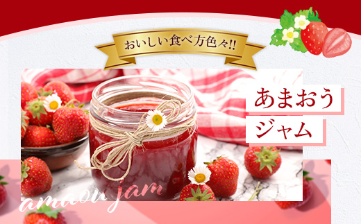 福岡県産 あまおう 1000g 送料無料 いちご 果物 フルーツ ギフト 季節限定 スイーツ ケーキ ブランド 先行予約 2025年2月より順次発送 TY052-2