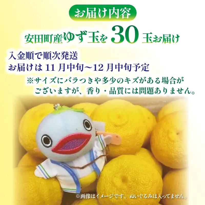 【先行予約】 安田町産 ゆず玉 料理にお酒にお風呂にどうぞ 期間限定