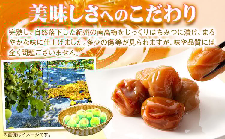 南高梅 はちみつ 梅 わけあり 紀州南高梅 はちみつ梅 2.6kg 有限会社プラム《30日以内に出荷予定(土日祝除く)》和歌山県 日高町 送料無料 梅 うめ ウメ 南高梅 蜂蜜 紀州 訳あり 送料無料