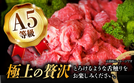 【1月発送】【飛騨牛】 切り落とし 500g 和牛 ブランド牛 国産 牛肉 多治見市 / 渡辺精肉店 [TAZ004-1]