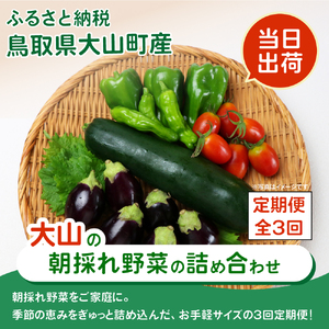 MS-03　新鮮朝採れ野菜セット　頒布会（計3回）