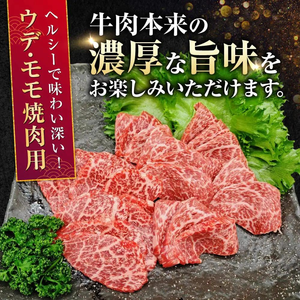 【全12回定期便】熊本県産 A5等級 黒毛和牛 和王 ウデ・モモ 焼肉用 約400g 計約4.8kg 焼肉[AYCH022]