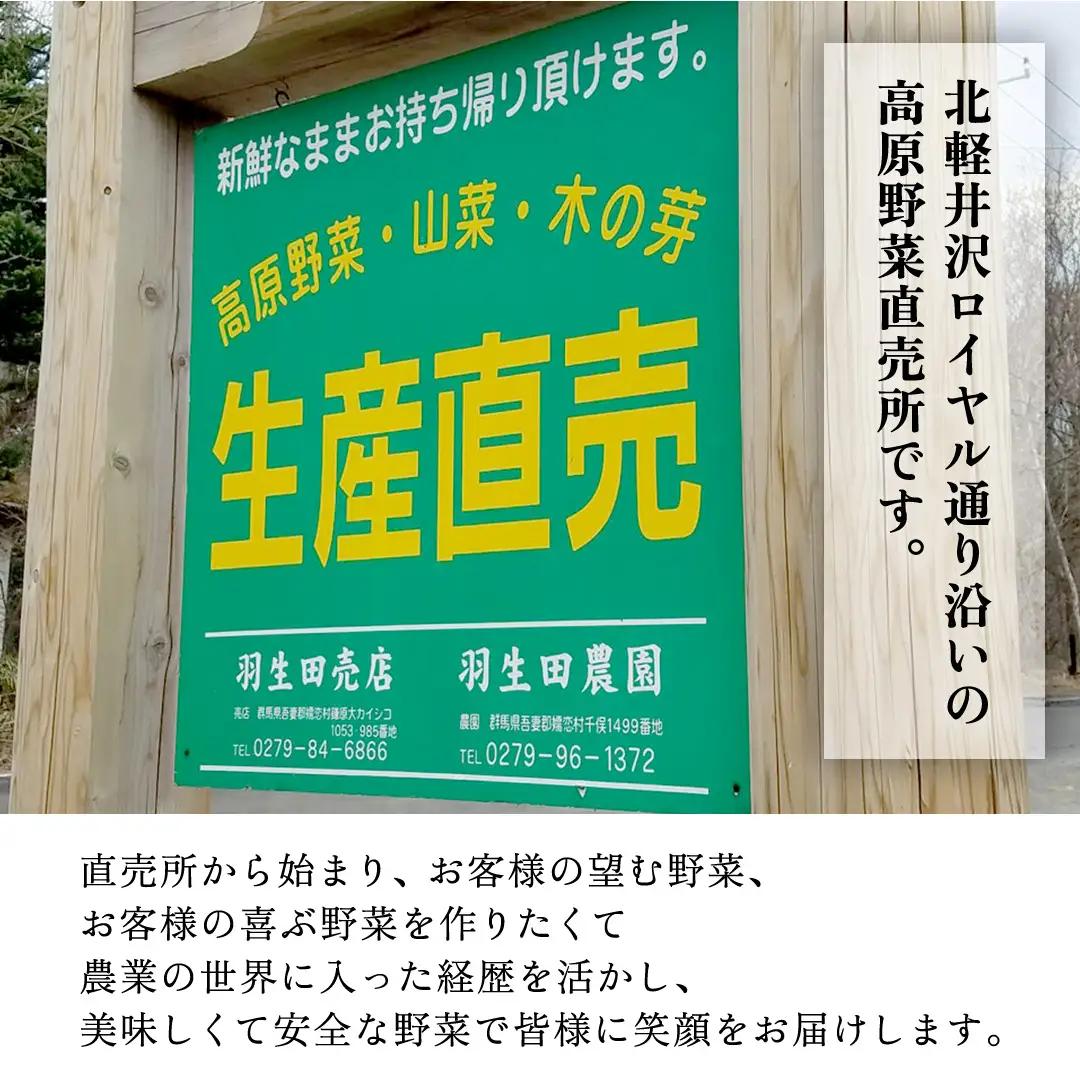 【8月上旬発送開始】 甘～いトウモロコシ 恵味 5kg 約10～12本 [AL005tu]