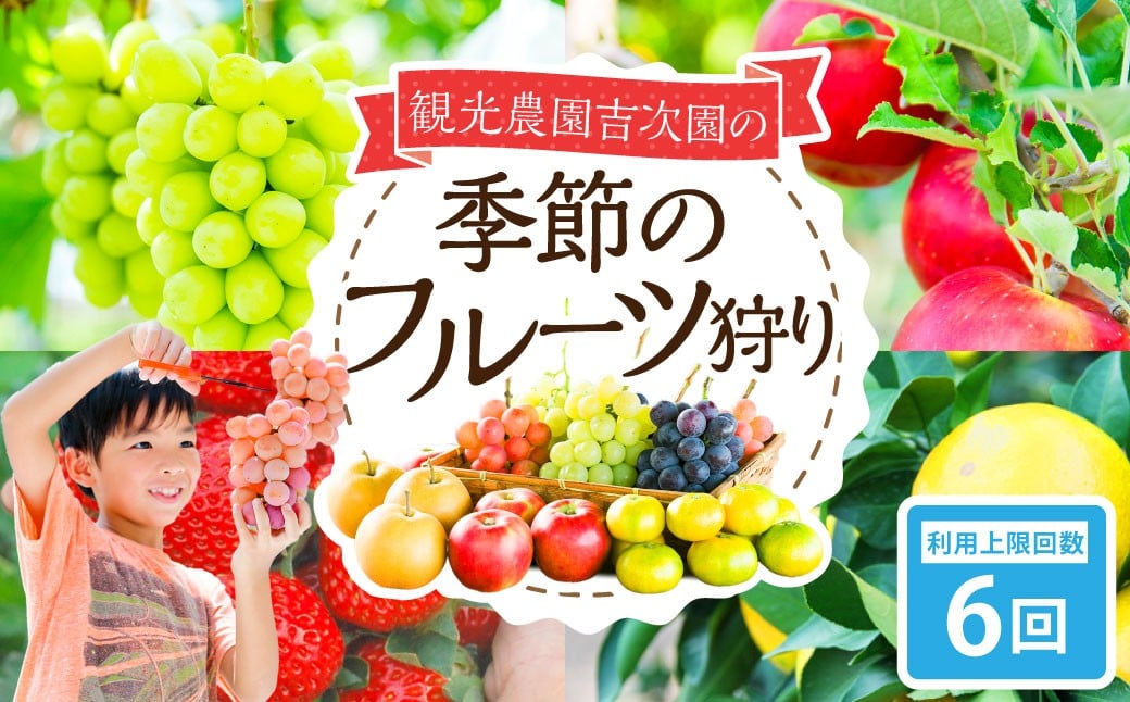 
            観光農園吉次園の「旬を味わうフルーツ狩りパスポート」（計6回） 果物狩り フルーツ 狩り 食べ比べ 食べ放題 季節 旬 家族 体験チケット チケット 体験 熊本県
          