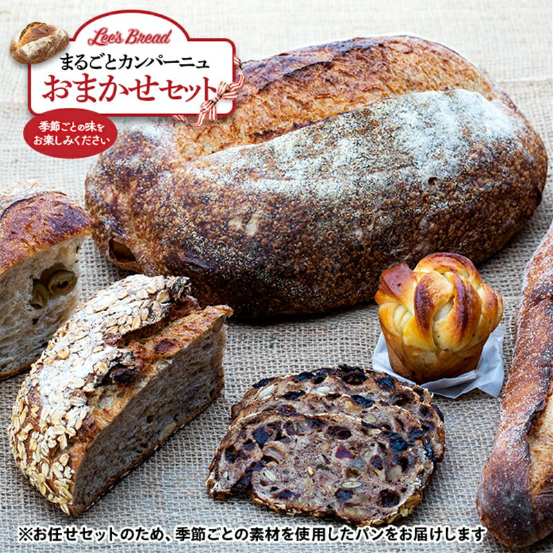 【ふるさと納税】【定期便3か月】Lee's Breadまるごとカンパーニュおまかせセット 天然酵母パン ハード系ブレッド　カンパーニュ 期間限定受付 配送地域限定【 神奈川県 大磯町 無農薬 国産小麦粉 天然酵母　贈答品 父の日 お歳暮】