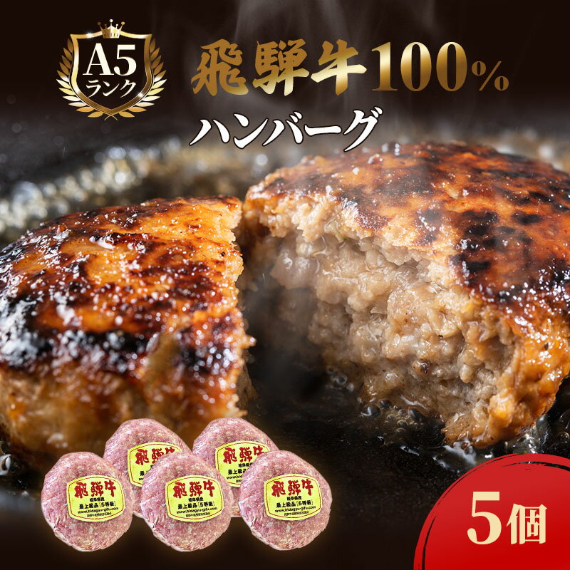 【ふるさと納税】ふるさと納税　飛騨牛 ハンバーグ ロースバーグ 150g×5枚 計750g 和牛 　お届け：※12月16日～1月10日は出荷出来ませんのでご注意下さい。