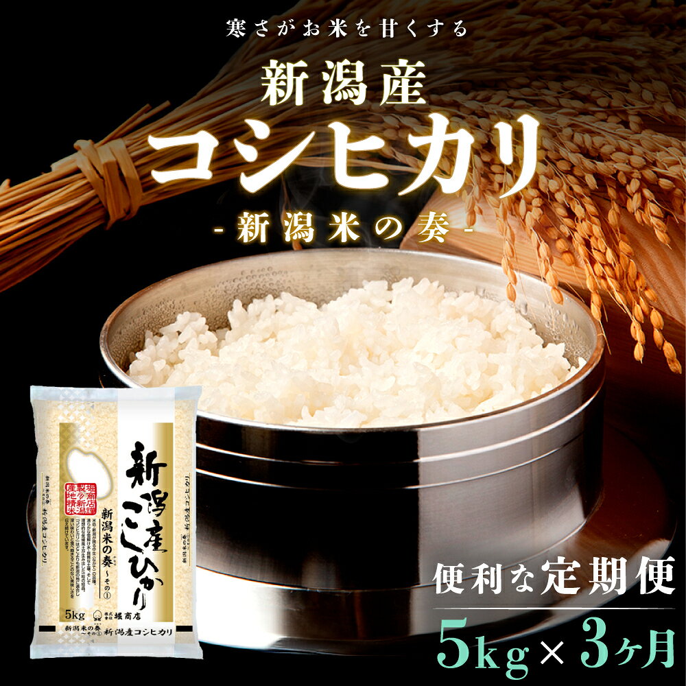 【ふるさと納税】【定期便】新潟産コシヒカリ5kg×3回 3ヶ月　お届け：寄附確認月の翌月より発送