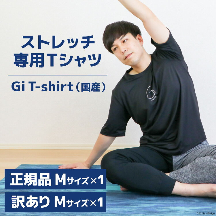【ふるさと納税】【ストレッチ専用Tシャツ2枚】Gi T-shirt（国産）正規品Mサイズ・訳ありMサイズ [Gi by OGATORE 宮城県 気仙沼市 20563623] Tシャツ 半袖 黒 黒色 メンズ レディース ストレッチ オガトレ