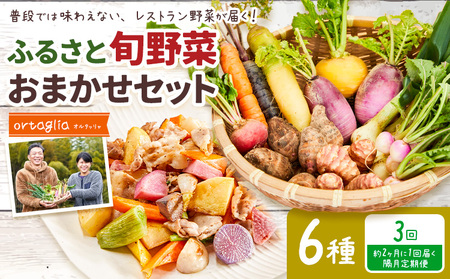 季節の旬野菜 おまかせセット 6種 3回 隔月定期便 （農薬・化学肥料不使用）オルタッリャ 《お申込み月の翌月から出荷開始》【配送不可地域あり】 