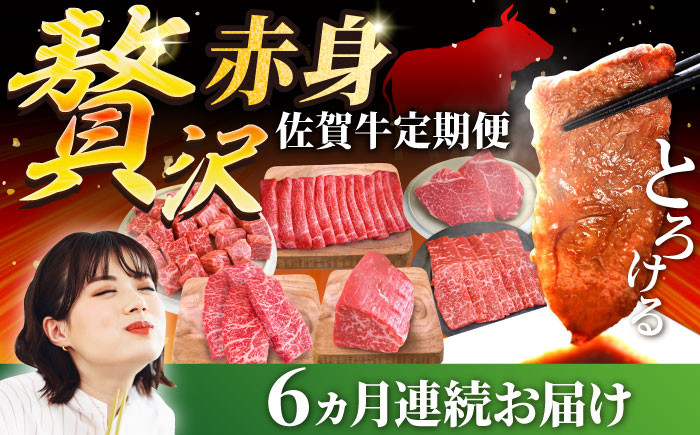 
            【牧場直送】【6回定期便】佐賀牛 贅沢 赤身 定期便【佐賀セントラル牧場】佐賀県産 牛肉 肉 お肉 赤身 焼肉 すきやき 九州 佐賀県 白石町 [IAH084]
          