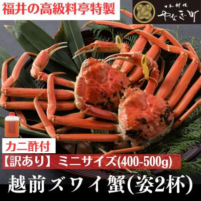 ふるさと納税 福井市 【11〜12月発送】【2杯セット】蟹料理店の訳あり茹で越前がにズワイガニ ミニ400〜500g足折