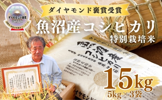 【令和8年産先行予約】魚沼産コシヒカリ 15kg(5kg×3袋) 特別栽培米 ダイヤモンド褒賞受賞 |  新潟産コシヒカリ 新潟県産コシヒカリ 魚沼産こしひかり 米 お米 こしひかり 白米 精米 ブランド米 最高級 新潟県 津南町
