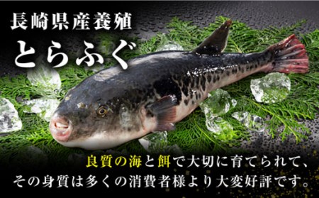 【12月31日大晦日にお届け】とらふぐ刺身5人前 / ふぐ フグ 河豚 トラフグ ふぐ刺し / 南島原市 / 大和庵 [SCJ014]