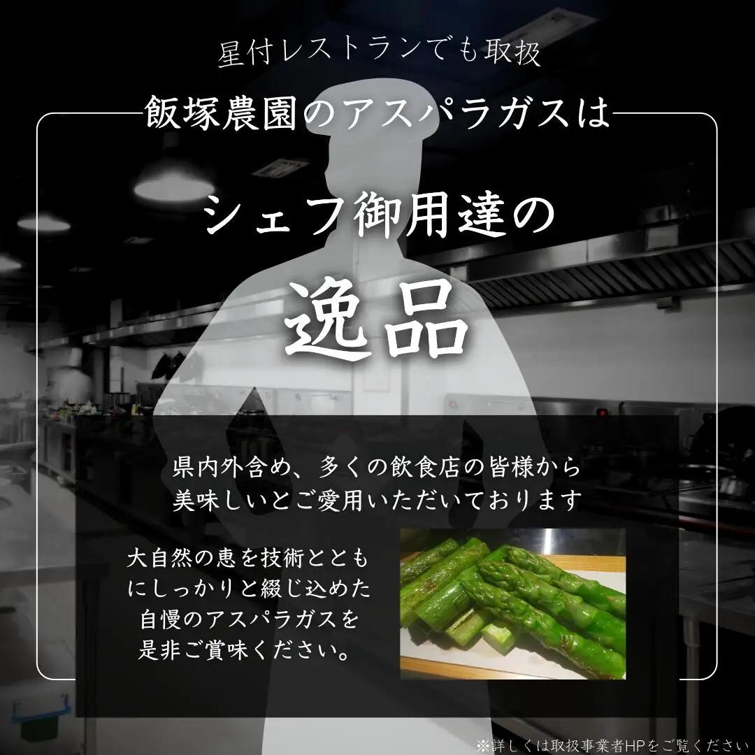 アスパラガス レギュラー 約1kg 令和8年産 アスパラガス 飯塚農園 
