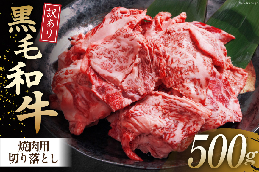
            牛肉 訳あり 宮崎県産黒毛和牛 焼き肉用切り落とし 500g[ウィズ・クリエイティブ 宮崎県 日向市 452061559] 冷凍 数量限定 不揃い 牛 和牛 黒毛和牛 切り落とし
          