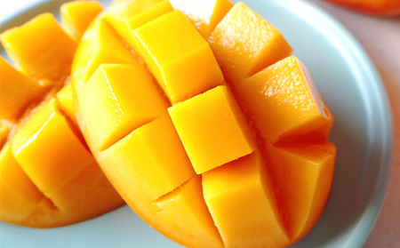 【2024年発送】ミツバチの受粉で育てた喜久川さんの完熟マンゴー1kg ◆秀品◆